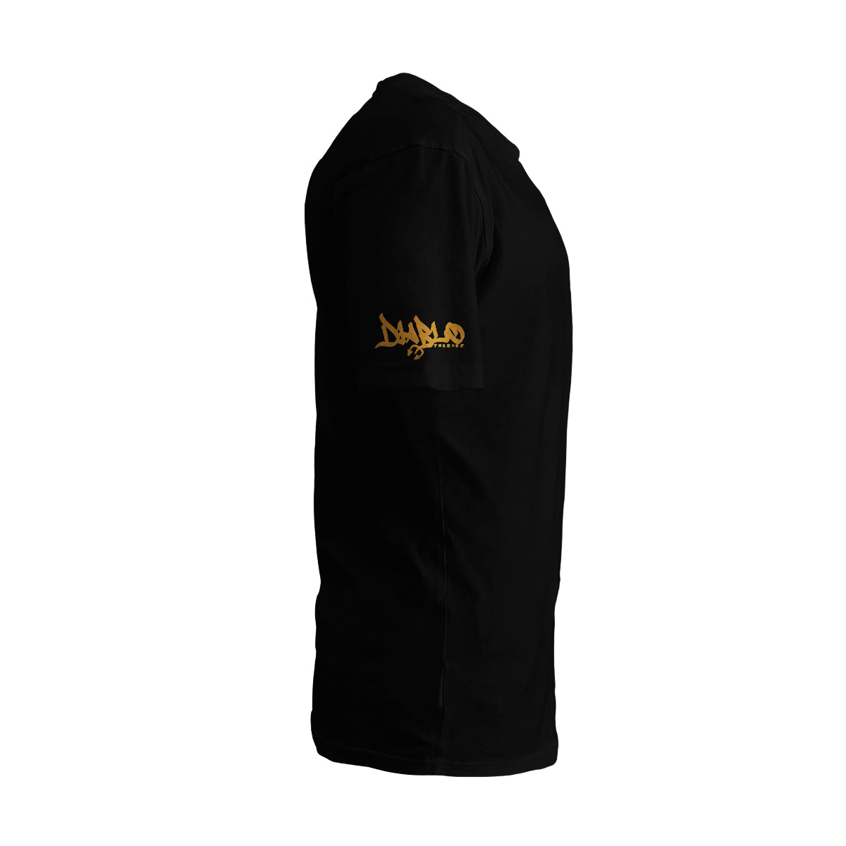 SOUTH BOUND SINNER WESTERN VERSION